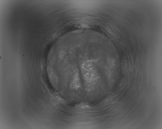 X0000073410747200608181055