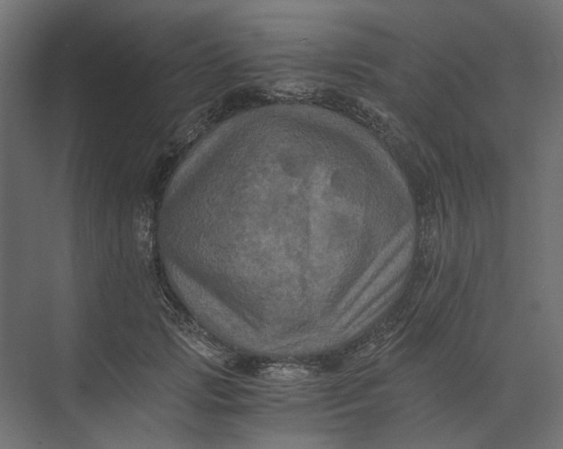 X0000073410749200608181055