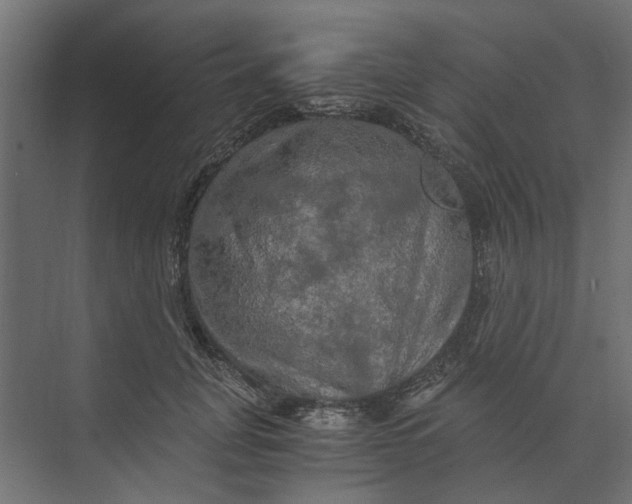 X0000073410751200608181055