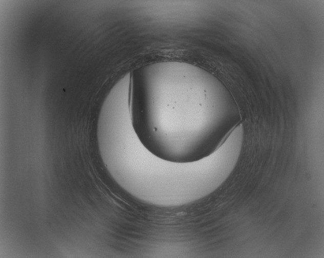 X0000073410752200608181055