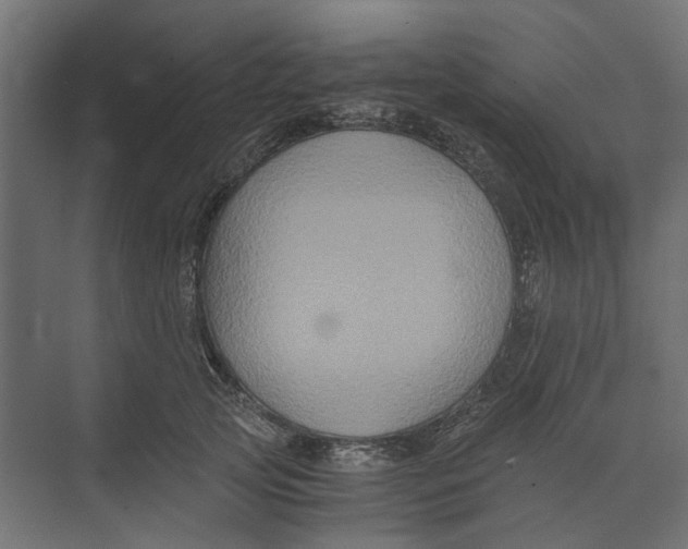 X0000073410753200608181055