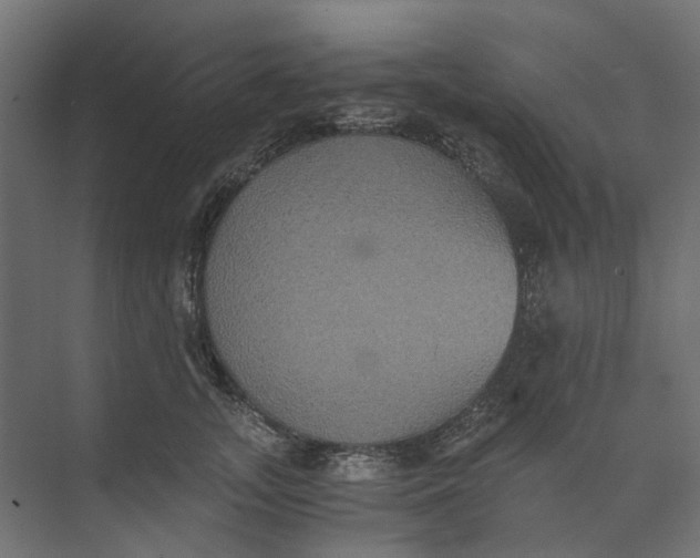 X0000073410755200608181055