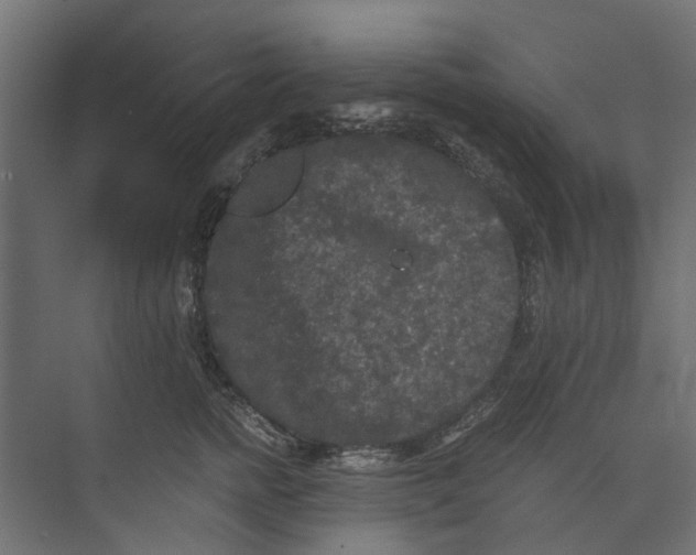 X0000073410758200608181055