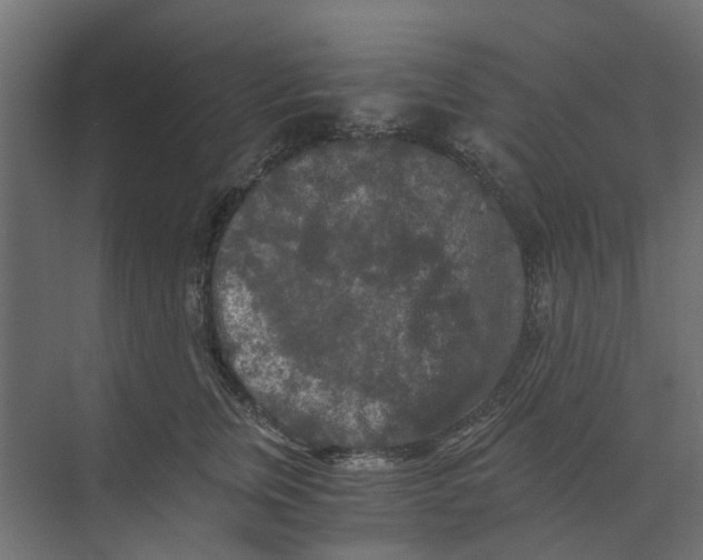 X0000073410759200608181055