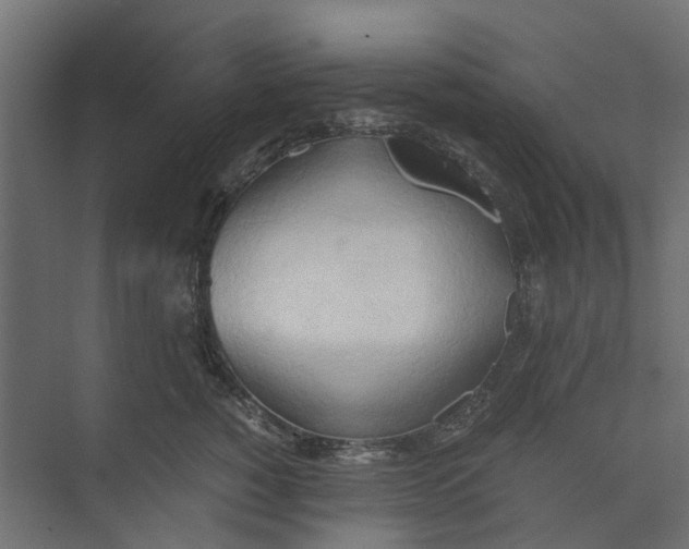 X0000073410760200608181055