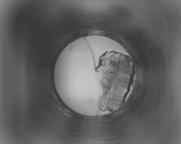 X0000073410761200608181055