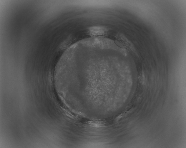 X0000073410763200608181055