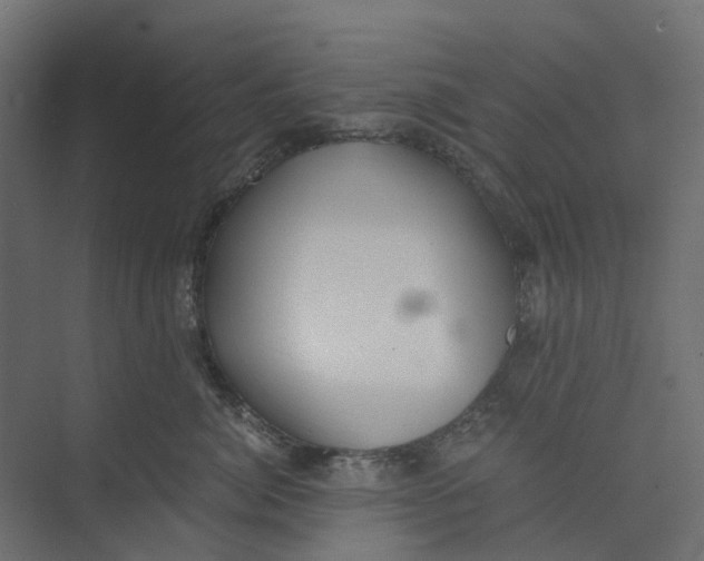 X0000073410764200608181055