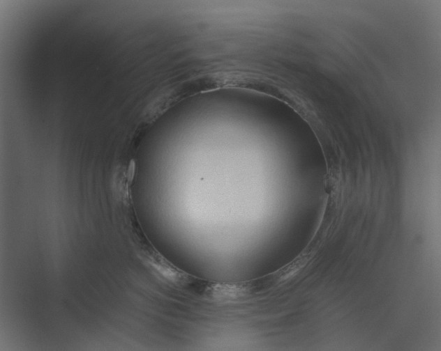 X0000073410766200608181055