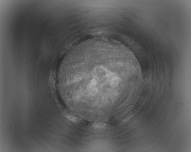 X0000073410767200608181055