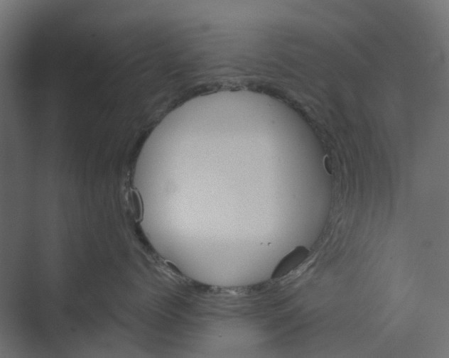 X0000073410768200608181055