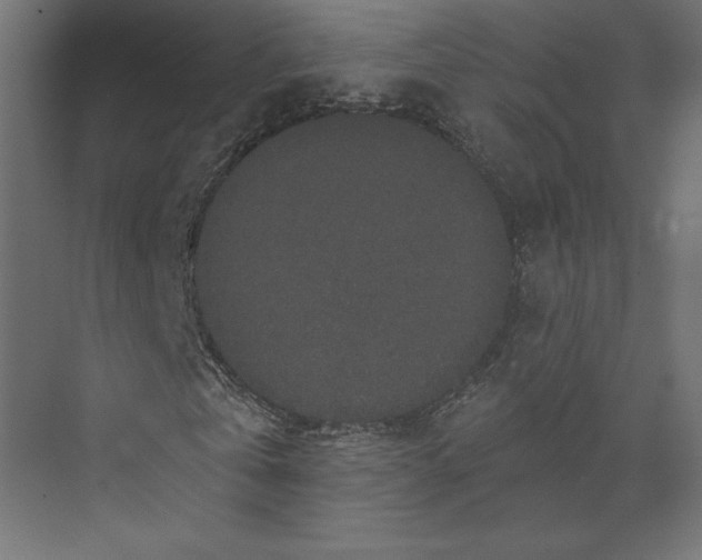 X0000073410769200608181054