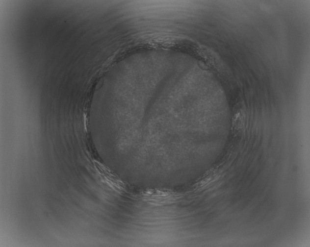 X0000073410772200608181054