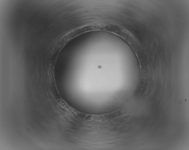 X0000073410773200608181054