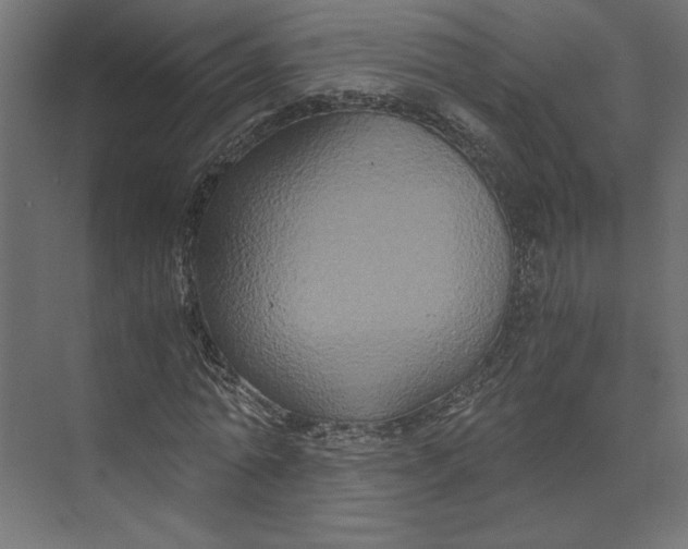 X0000073410774200608181054