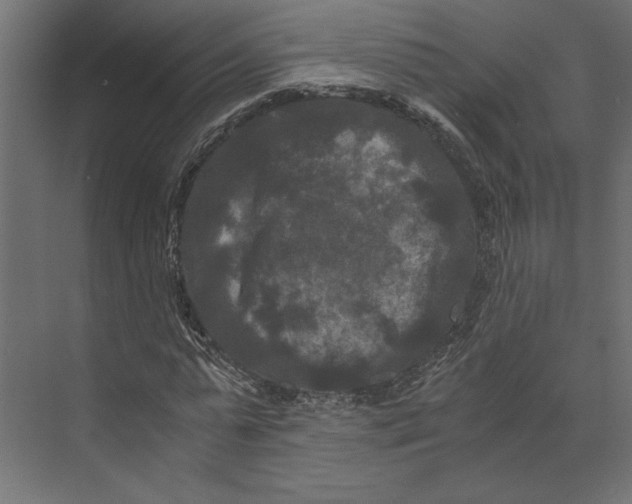 X0000073410775200608181054