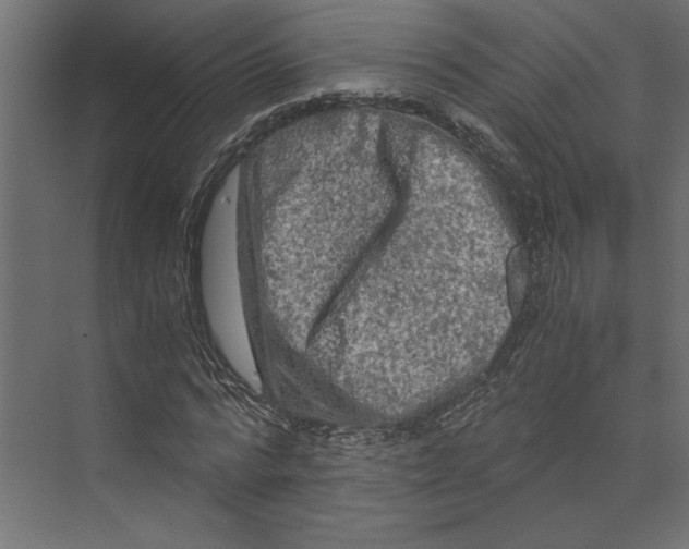 X0000073410776200608181054