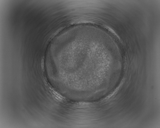 X0000073410777200608181054