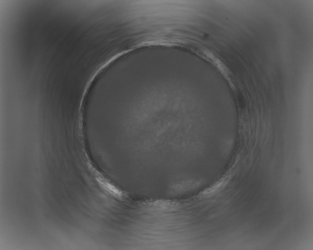 X0000073410779200608181054