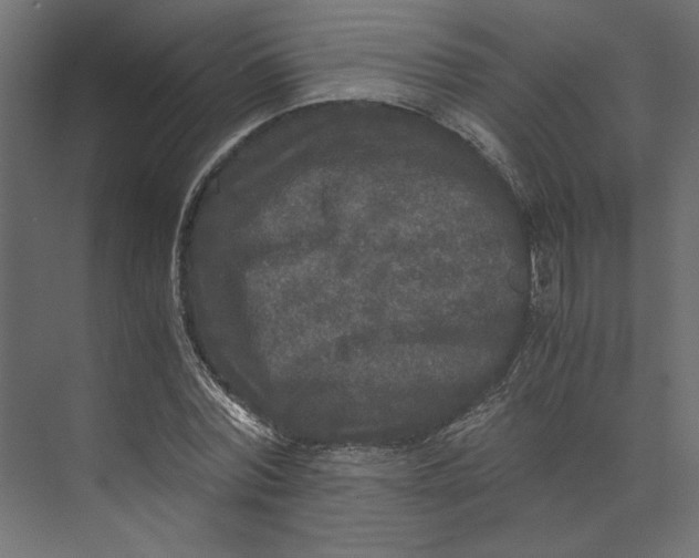 X0000073410780200608181054