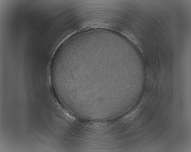 X0000073410782200608181054