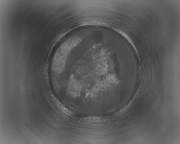 X0000073410783200608181054