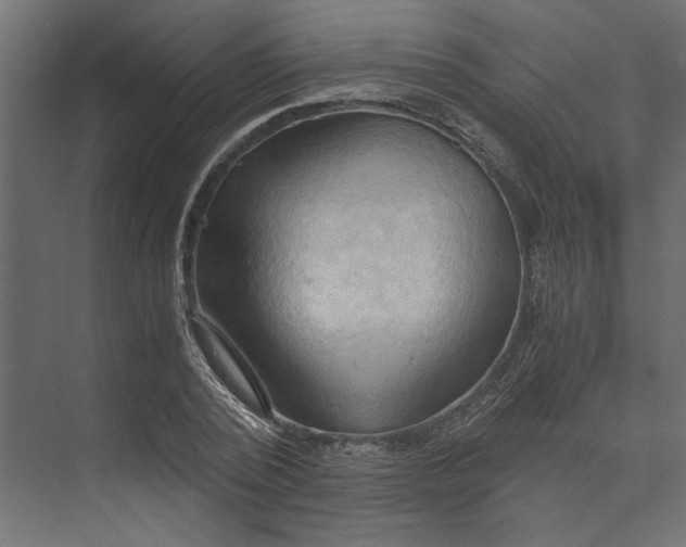 X0000073410784200608181054