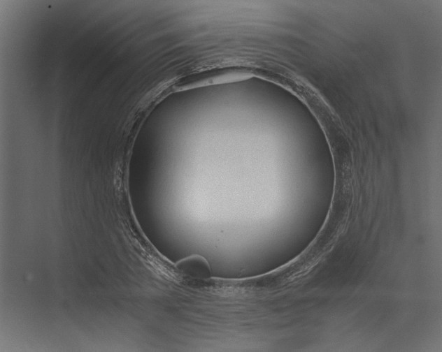 X0000073410785200608181054