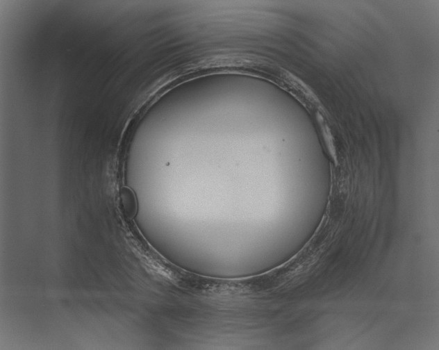 X0000073410786200608181054