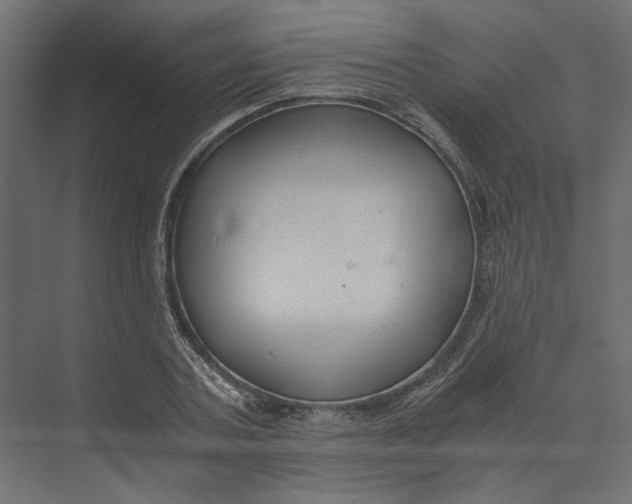 X0000073410787200608181054