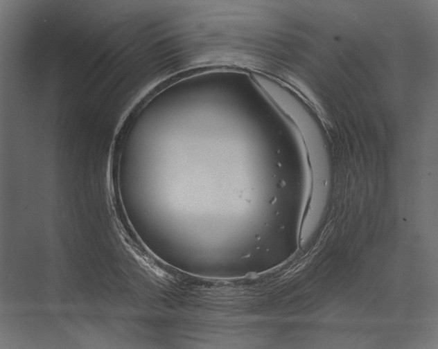 X0000073410788200608181054