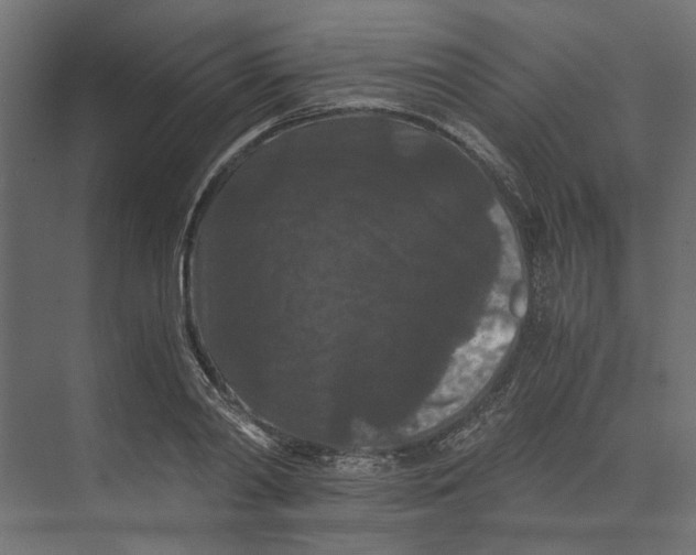 X0000073410790200608181054