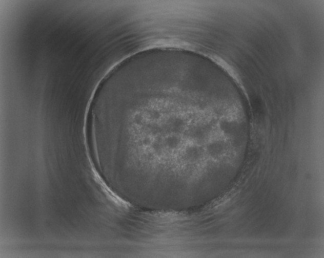 X0000073410791200608181054