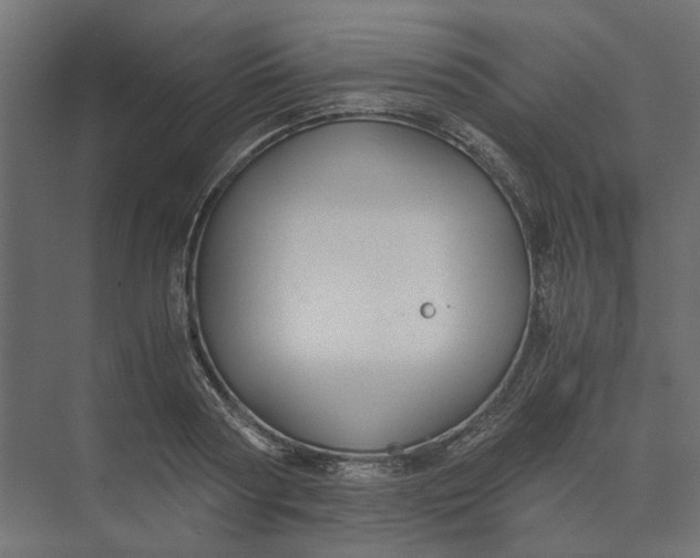 X0000073410794200608181054