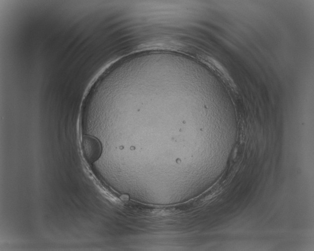 X0000073410796200608181054