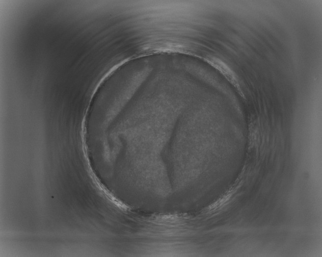 X0000073410798200608181054