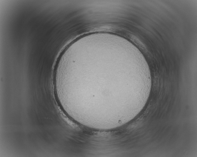 X0000073410800200608181054