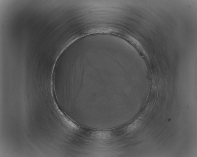 X0000073410802200608181054