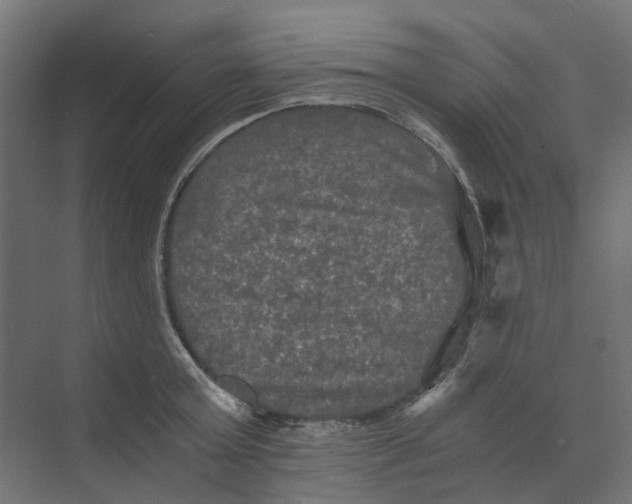 X0000073410803200608181054