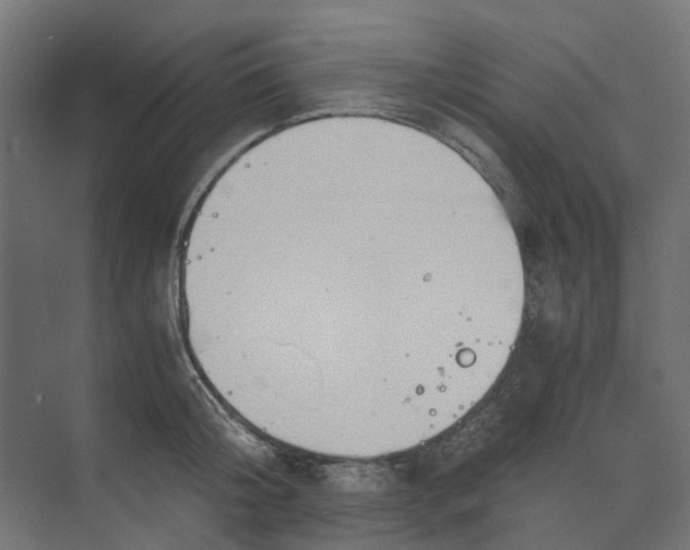 X0000073410804200608181054