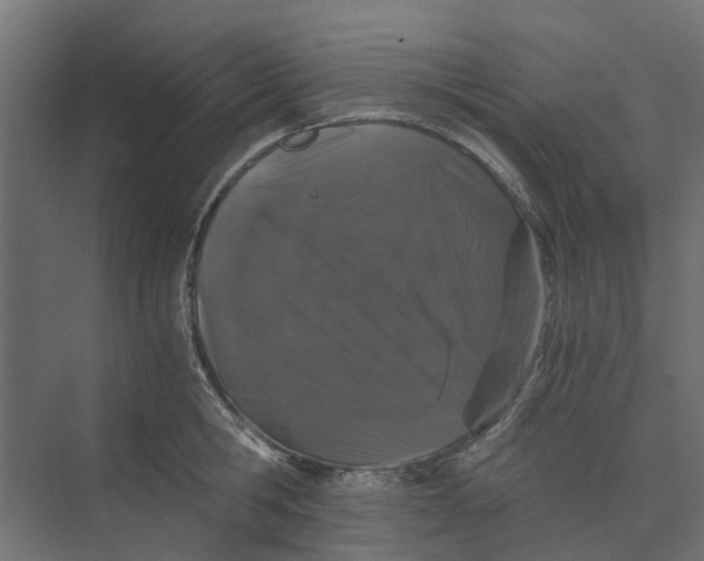 X0000073410806200608181054