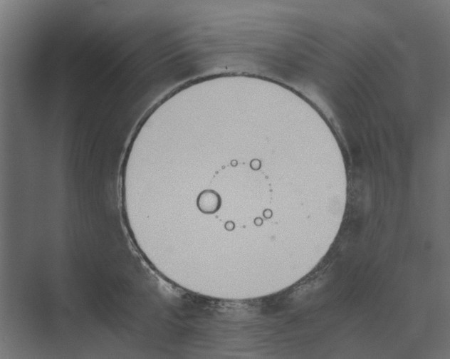 X0000073410807200608181054