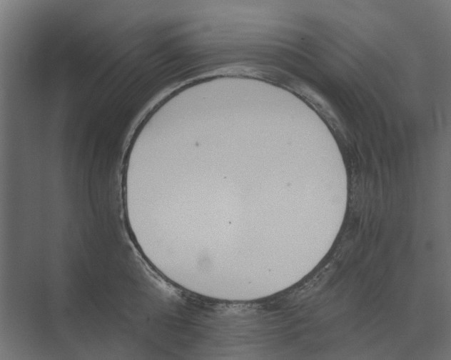 X0000073410808200608181053