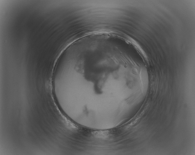 X0000073410810200608181053