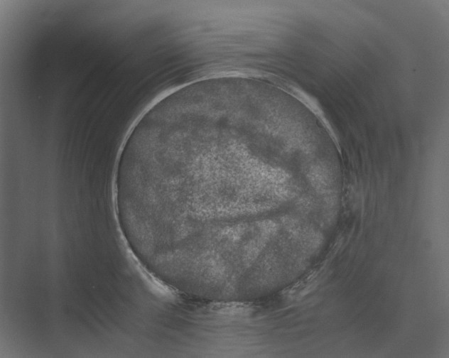 X0000073410811200608181053