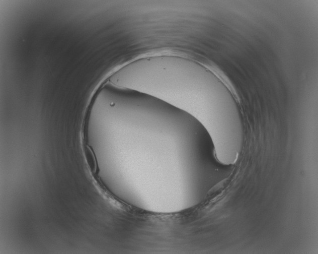 X0000073410813200608181053