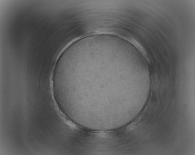 X0000073410814200608181053