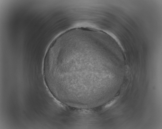 X0000073410815200608181053