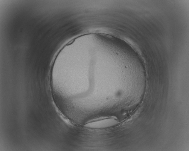 X0000073410816200608181053