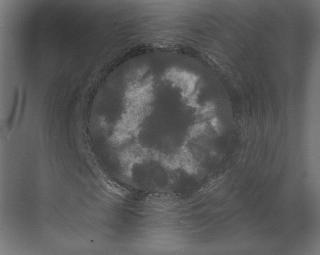 X0000073410817200608181053